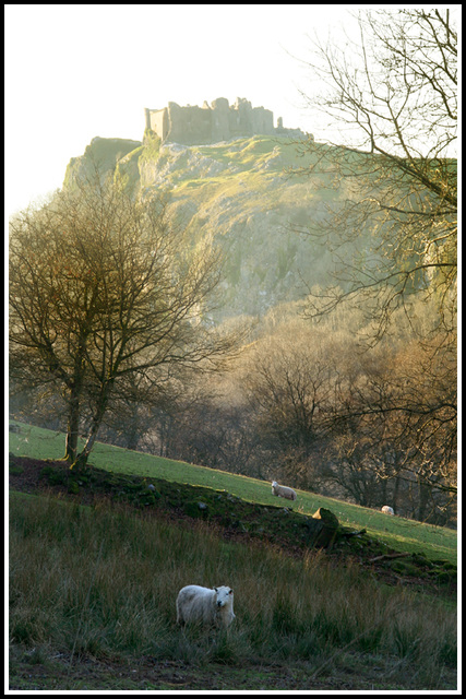 afternoon mist