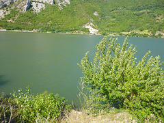 Le Danube à l'intérieur de Derdap.