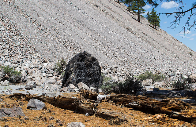 Mono Craters obsidian (0330)