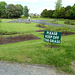 Kilkenny 2013 – Keep off the grass