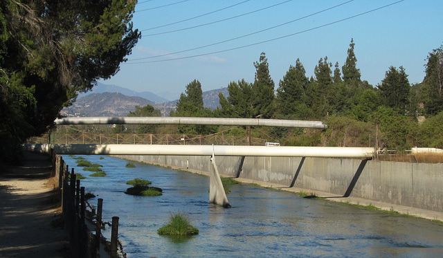 Burbank LA River (3681)