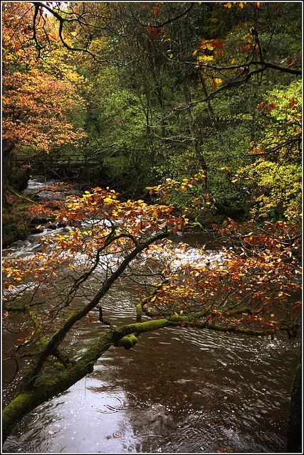 The footbridge