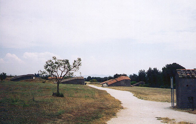 The Necropolis of Tarquinia, 1995