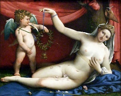 Venus and Cupid by Lorenzo Lotto in the Metropolitan Museum of Art, Sept. 2007