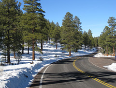 Sunset Crater Volcano NM 1636a