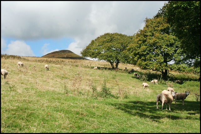 Sugarloaf rising