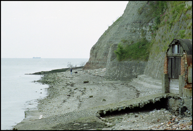 Dock Beach