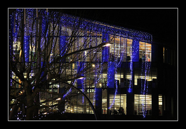 Library lights