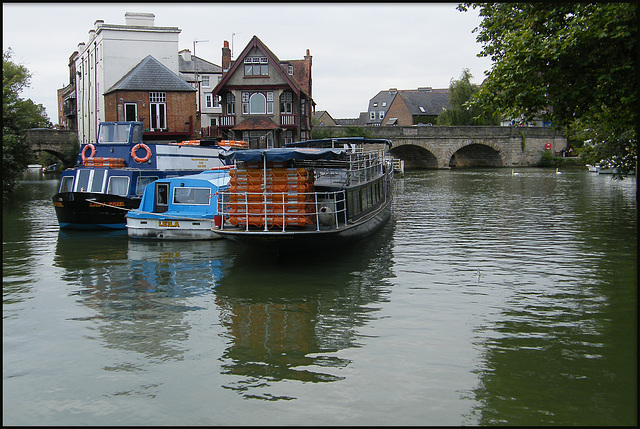 Salters Steamers at Folly Bridge