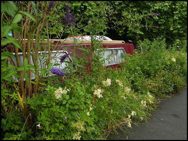 towpath home