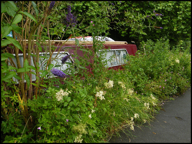 towpath home