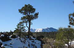 Sunset Crater Volcano NM (1641)