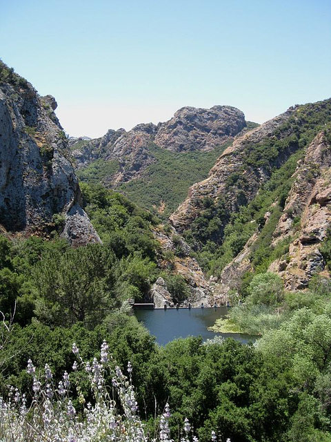 Malibu Creek State Park 2195a