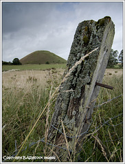 fence post with silbury hill
