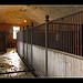 Horse stalls in the stables