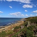 Moray Firth Coast