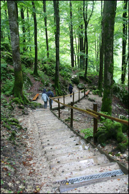 Devils Bridge Gorges #12