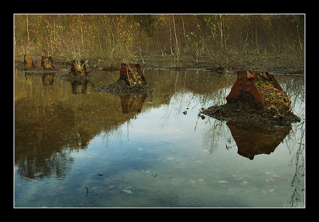 Stumps