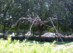 Spider by Louise Bourgeois in the National Gallery Sculpture Garden, September 2009