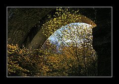 Underneath the arches