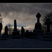 Dark cemetery