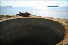 Moncrief gun pit