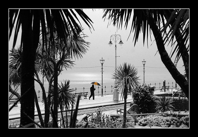 Frozen palms