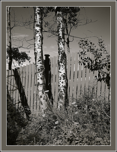 Behind our house.