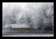 "Stood a lowly cattle shed"