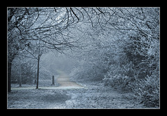 Railway walk