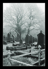 Cold cemetery