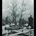 Cold cemetery