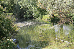 DIOU Petit villageL'Indre