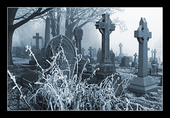 Cold cemetery