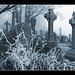 Cold cemetery