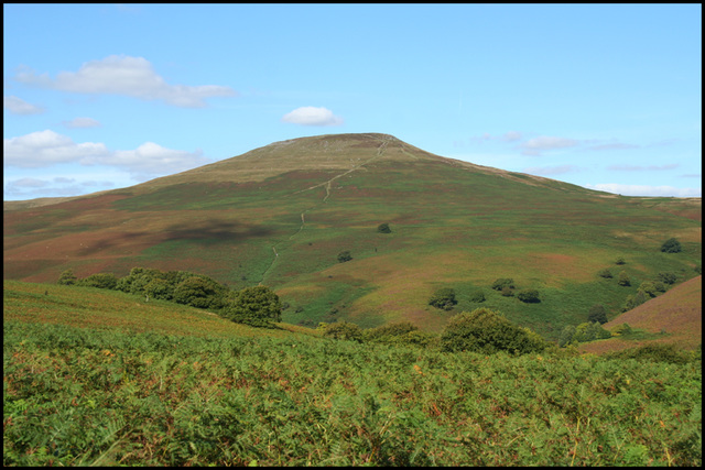 The Sugarloaf