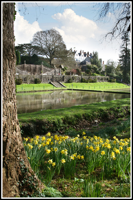 St David's Day