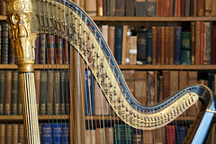 Harp