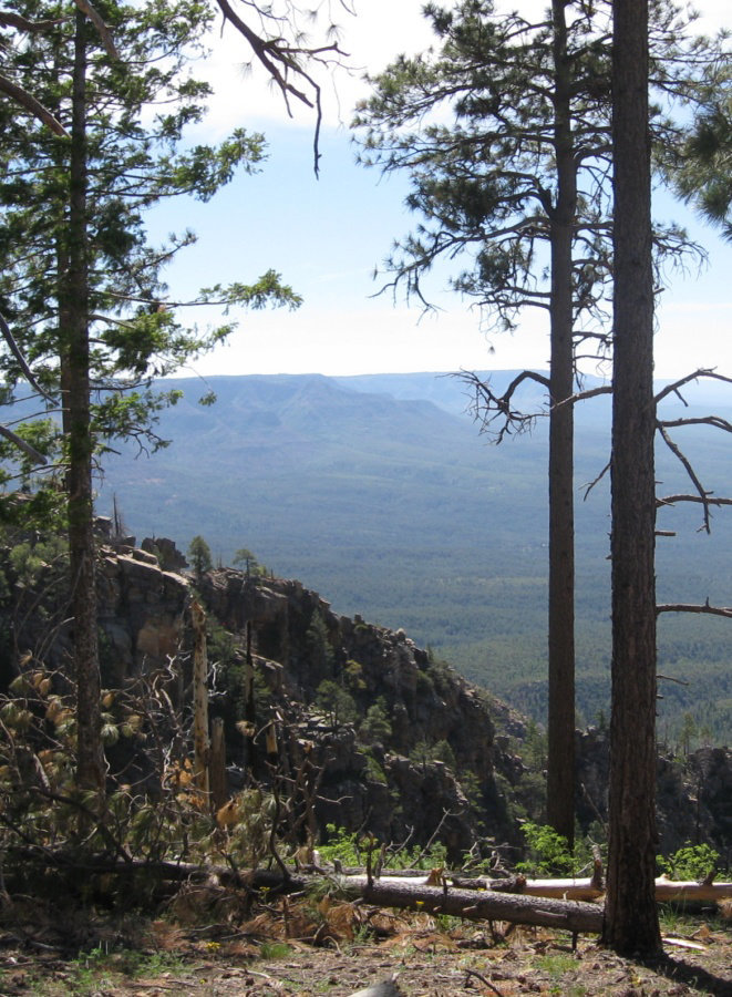 Mogollon Rim 2270a