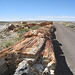 Petrified Forest National Park 2313a