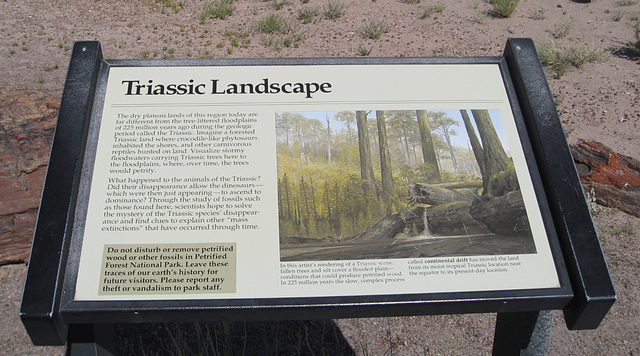 Petrified Forest National Park 2321a