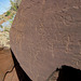 Lyman Lake State Park AZ 2330a