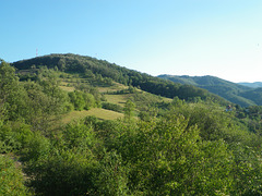 Collines du parc national de Derdap