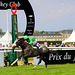 Grand Prix du Jockey Club 2014