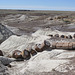 Petrified Forest National Park 2311a