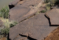 Lyman Lake State Park AZ 2338a