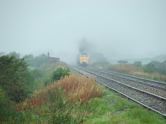 Spoons in the mist