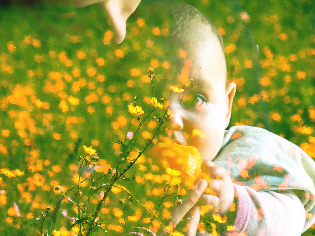 Chan de fleurs