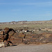 Petrified Forest National Park 2327a