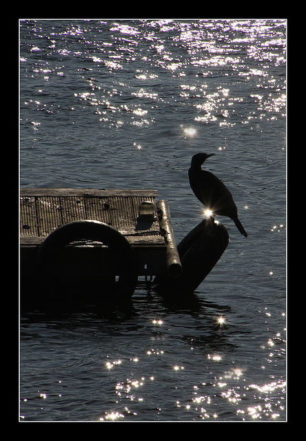 Ring of bright water